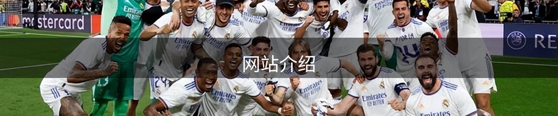 网站介绍